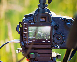 Как выбрать оператора на свадьбу?