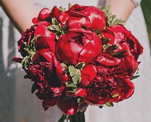 Красные пионы в свадебном букете невесты Красные пионы в свадебном букете невесты