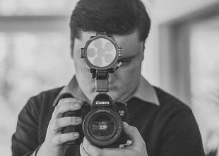 Чайка - лого