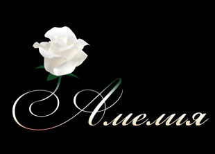 Склад-магазин квітів 'Амелія' Склад-магазин квітів 'Амелія' - лого