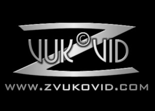 ZVUKOVID ZVUKOVID - лого