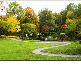 Национальный ботанический сад им. Н.Н. Гришка НАН Украины - лого