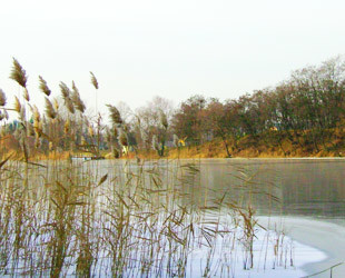 "Харьковское море" - лого