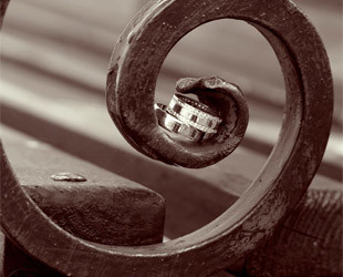 Виолетта Петровская - лого