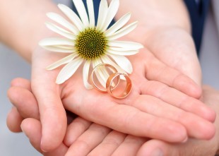 FamilyStudio - лого