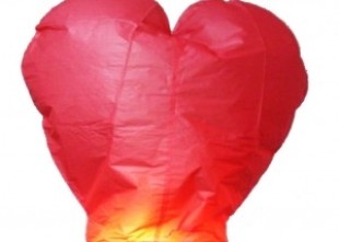 Интернет магазин Скайлайт Интернет магазин Скайлайт - лого