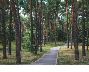 Парк Победы - лого