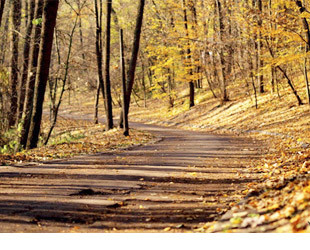 Голосеевский парк им. М. Рыльского - лого