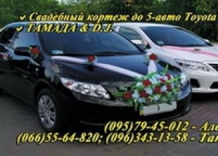 Свадебный кортеж Toyota Corolla - лого