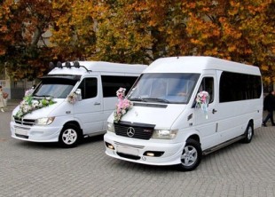 Ildi Transfer Ildi Transfer - лого