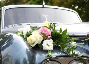 Авто на Свадьбу в Киеве Авто на Свадьбу в Киеве - лого