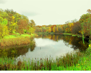 Парк Нивки - лого