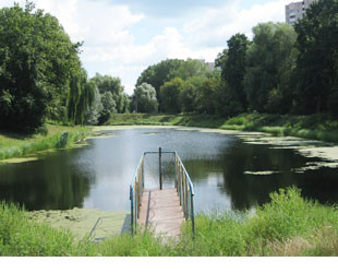 Парк Теремки - лого