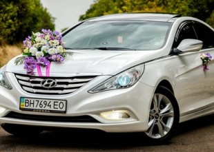 Vipexpress - лого