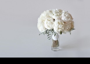 Пион Бутон - лого