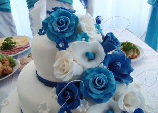 multivideo - лого