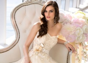 Данеса - лого