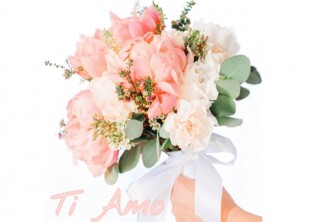 Ti Amo Ti Amo - лого