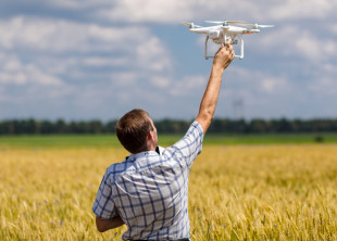 Николай Палий - лого