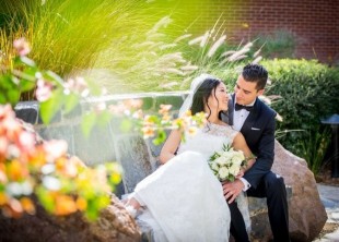 DL Studio - лого