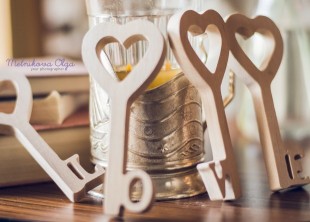 Фотограф Ольга Мельникова - лого