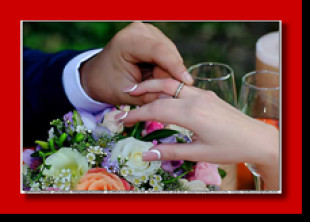 Велена - лого