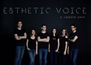 Esthetic Voice - лого