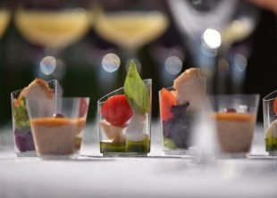 Шафран - лого