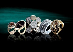 Соломия-Инвест - лого