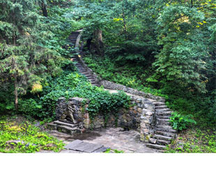 Дендропарк Александрия - лого