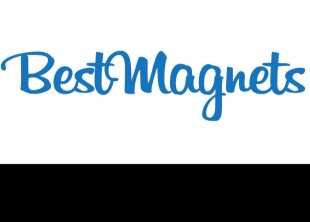 BestMagnets - лого