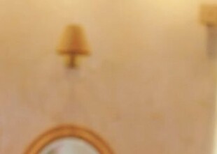 Ведущая - лого