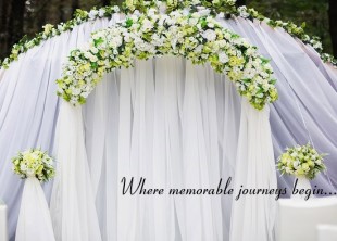 Wedding Wedding - лого