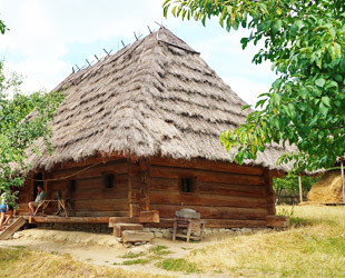  Музей народной архитектуры	 - лого