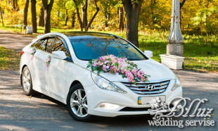 Blluz Wedding Service - лого