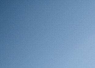 Cvetochek Photographer - лого