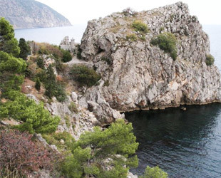 Пушкинская скала - лого