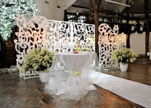 Ірина Паращук - лого