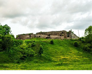 Микулинецкий замок - лого