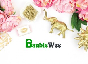 Студия декора и флористики "BaubleWee" - лого