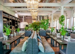 ресторан СМОРОДИНА ресторан СМОРОДИНА - лого