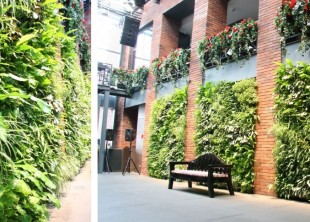 Аренда живой зеленой фито-стены для фотозоны - лого