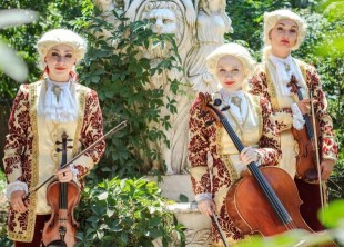 kanonquartet - лого