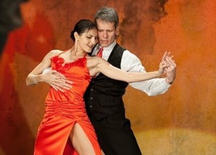 Международный танцевальный салон Danzarin - лого