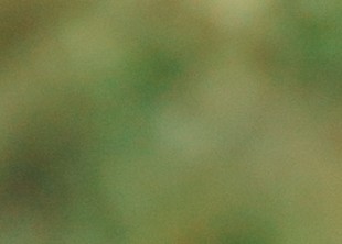 Визажист, стилист по прическам Визажист, стилист по прическам - лого