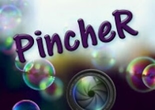 pinchrerstudio pinchrerstudio - лого