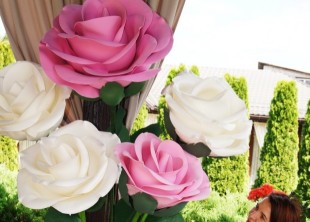 Манго Декор - лого