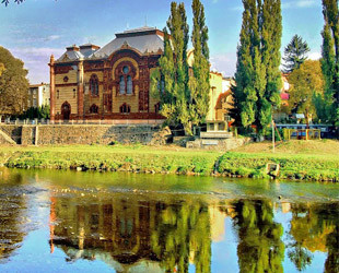 Ортодоксальная синагога	 - лого