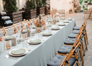 Phi-Phi ПХИ ПХИ - лого