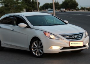 Соната YF - белоснежная - лого